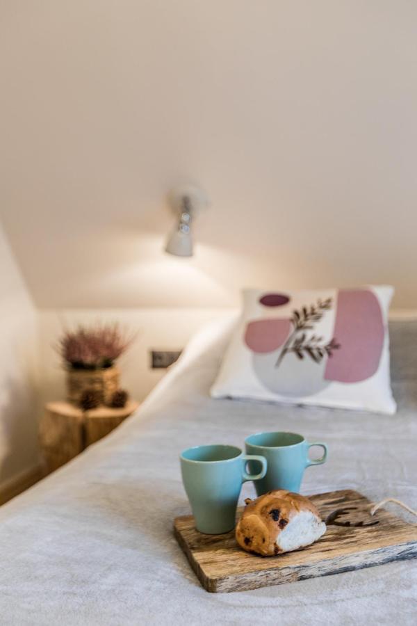 Apartamenty Forrest Nowotarska 자코파네 외부 사진