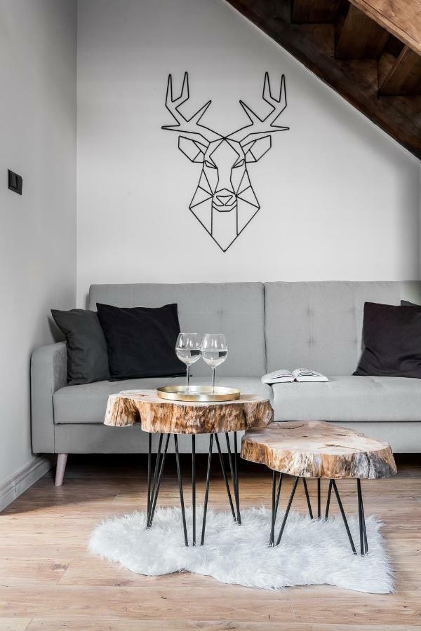 Apartamenty Forrest Nowotarska 자코파네 외부 사진